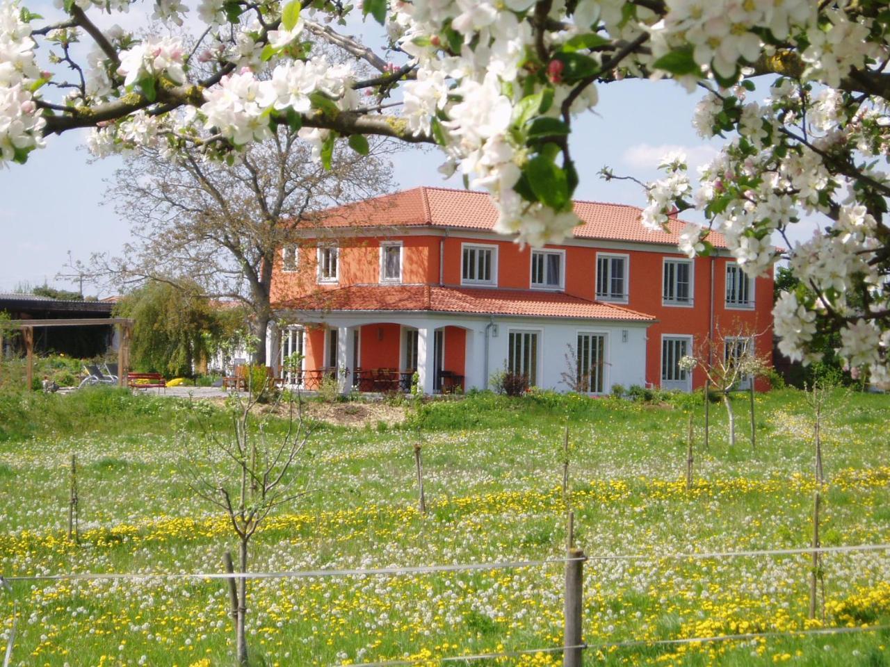 Willanzheim Weinhof Am Nussbaum酒店 外观 照片
